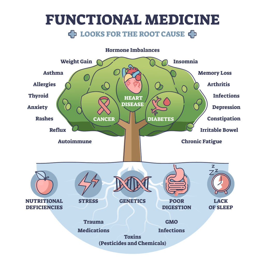 A diagram labeled "Functional Medicine Looks for the Root Cause." The diagram is a tree showing how various symptoms like weight gain, rashes, and memory, as well as conditions and diabetes, have root causes. Below the tree are "roots" labeled nutritional deficiencies, stress, genetics, poor digestion, and lack of sleep