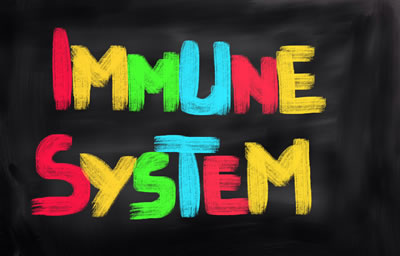 Chiropractic Care Boosts Immune System