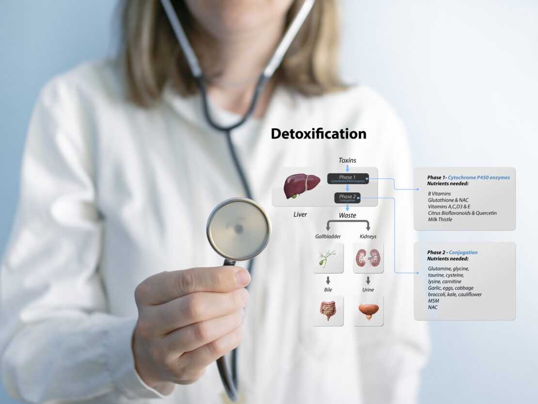 A medical doctor is holding a stethoscope at chest level. Next to the stethoscope is a chart titled 'Detoxification.' The chart shows that there are Phase 1 and Phase 2 toxins. Phase 1 toxins can be treated with B vitamins, Glutathione & NAC, Vitamins A, C, D3, and E, citrus bioflavonoids and quercetin, and milk thistle. Phase 2 toxins can be treated with glutamine, glycine, taurine, cysteine, lysine, carnitine, garlic, eggs, cabbage, broccoli, kale, cauliflower, MSM, and NAC. When toxins leave the body, they are either transferred to the gallbladder and dispelled from the body as bile or into the kidneys and dispelled from the body in urine.